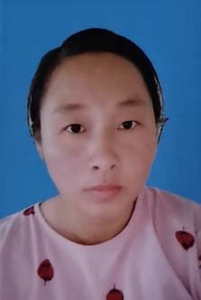 种衍凤