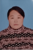 陈二花