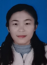 赵路路